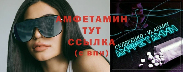 мдпв Вязьма